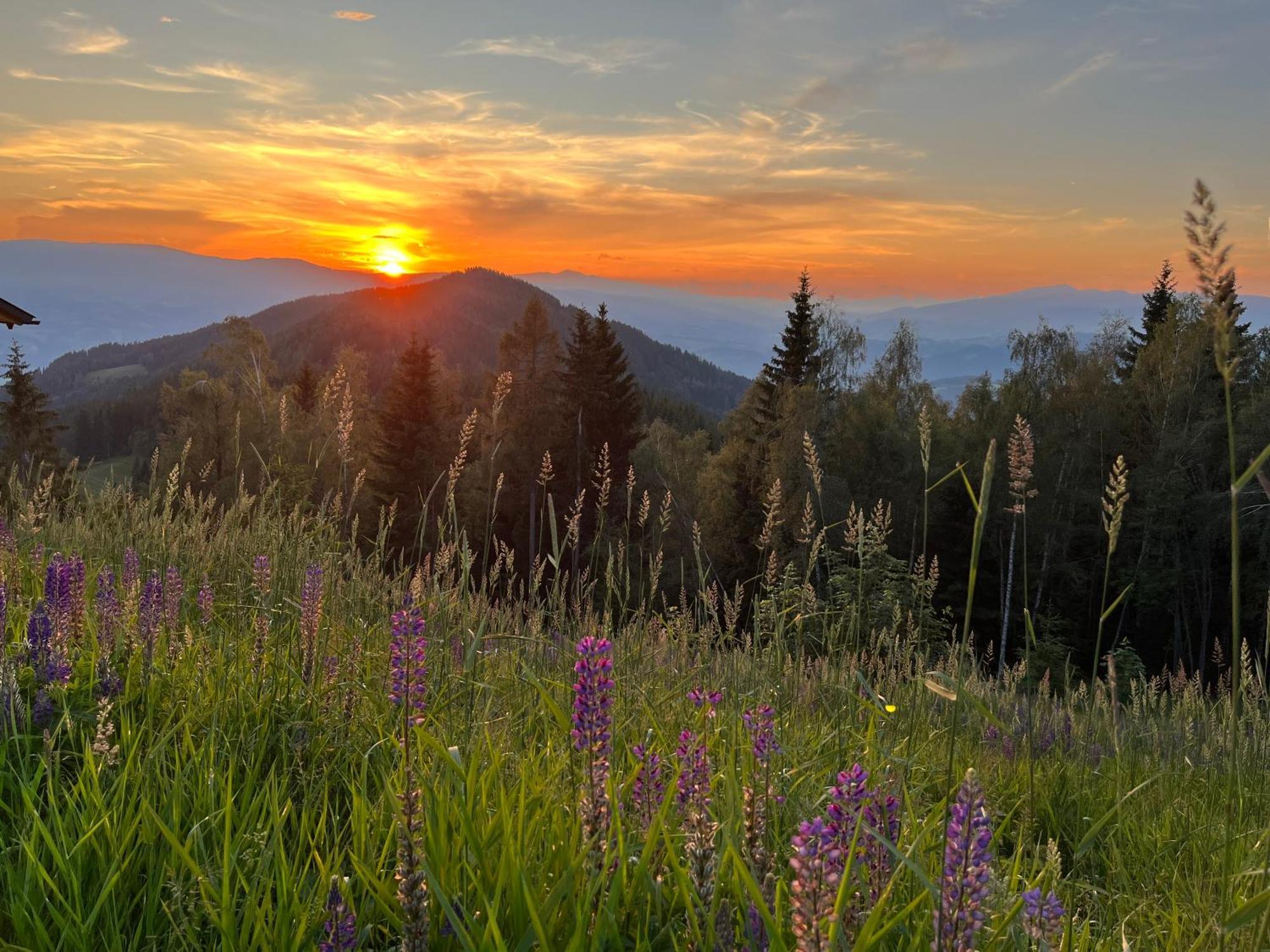 Feriendorf Koralpe Alpenrose Frantschach Kültér fotó